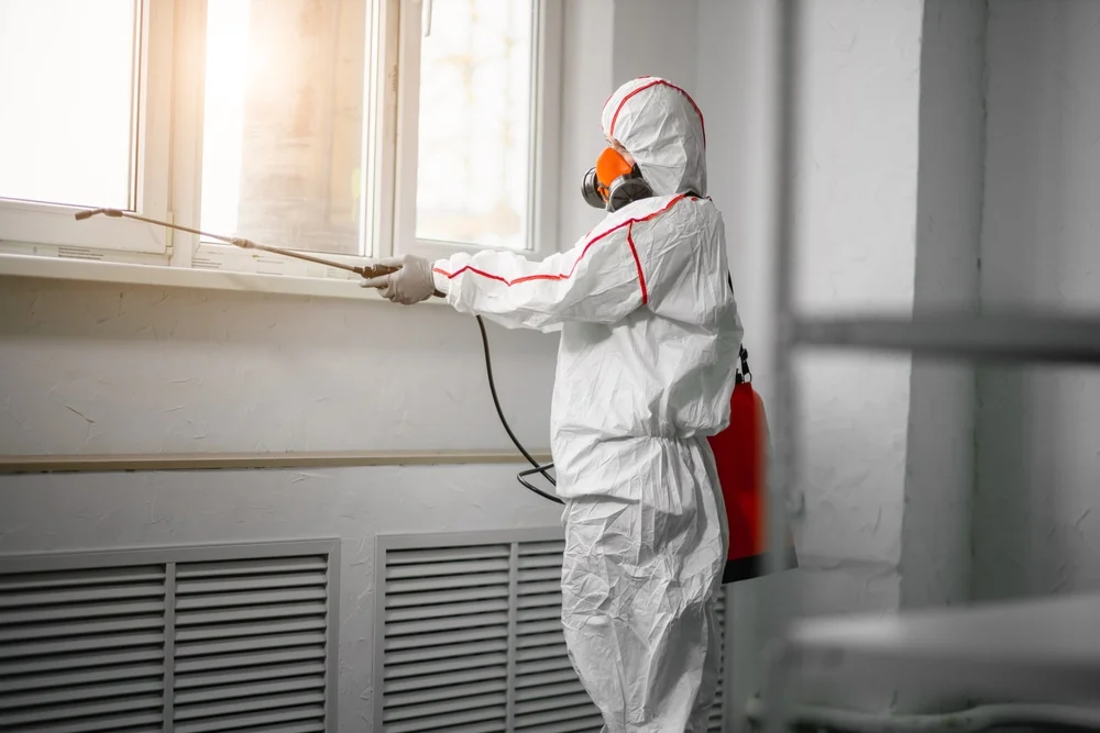 Professional mold remediation services in Freeport, MI